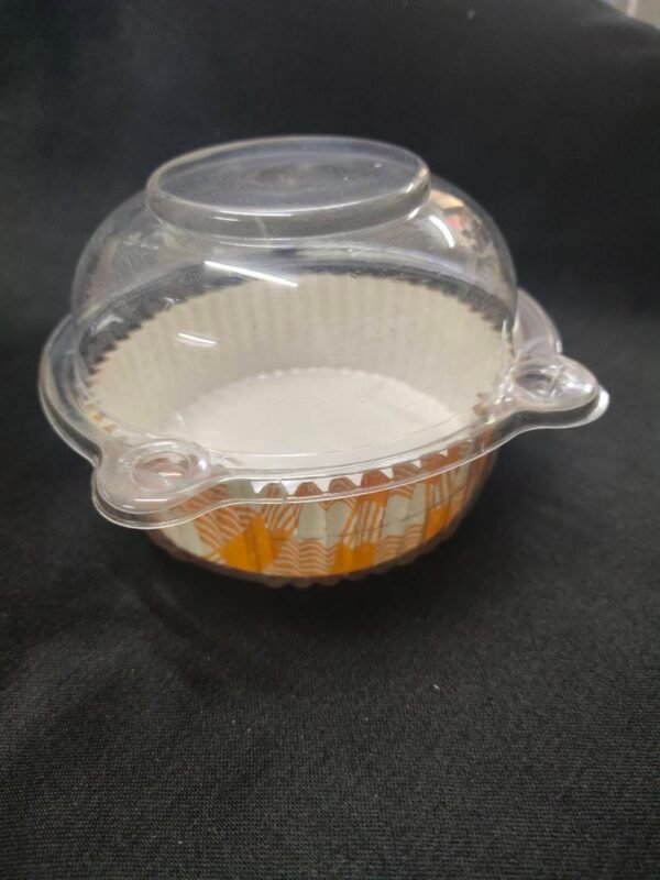 Dome box with Liner